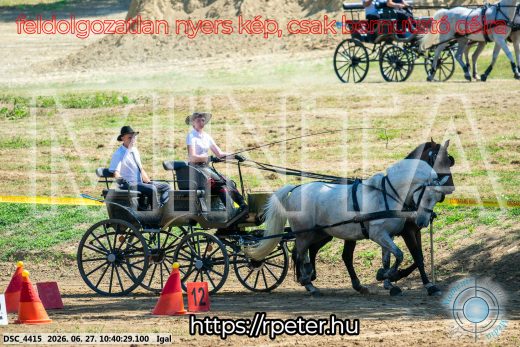 Mintakép 20260627-1899
