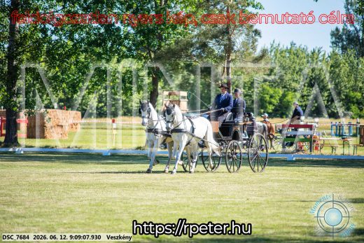 Mintakép 20260612-27