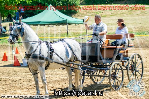 20260627-112033-DSC_4669.jpg