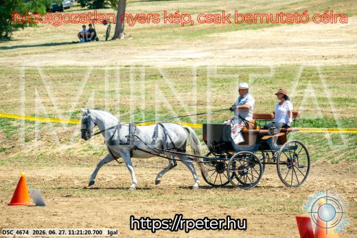 Mintakép 20260627-1924