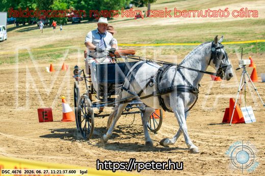Mintakép 20260627-1925
