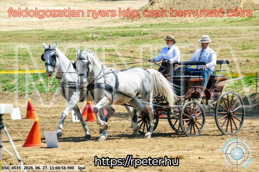 Mintakép 20260627-1985