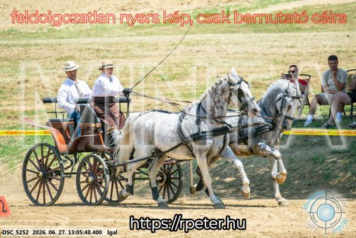 Mintakép 20260627-2001