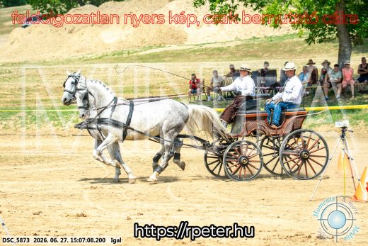 Mintakép 20260627-2019