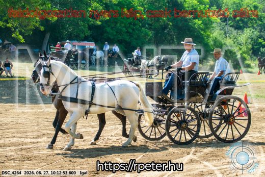 20260627-101253-DSC_4264.jpg