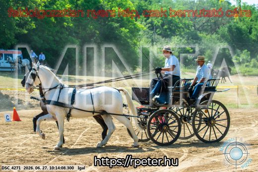 Mintakép 20260627-2036