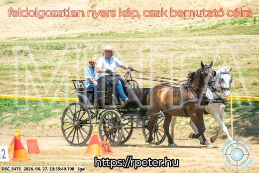 Mintakép 20260627-2049