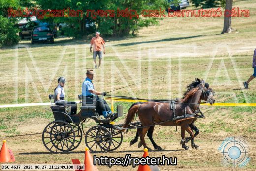 20260627-111249-DSC_4637.jpg