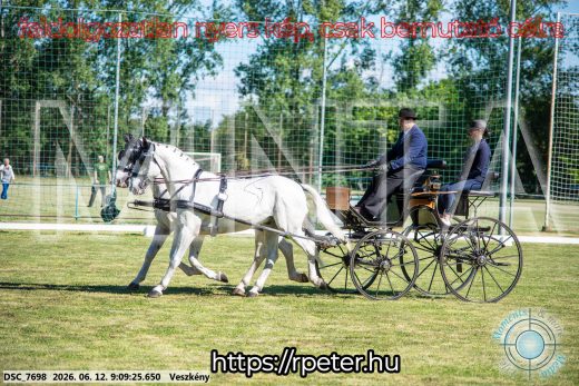 Mintakép 20260612-43