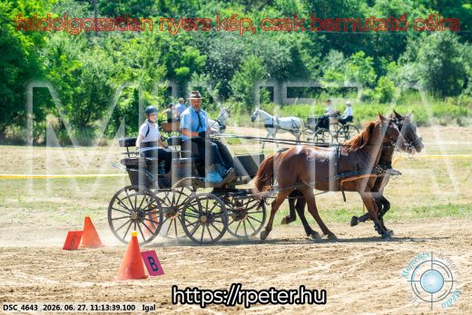 Mintakép 20260627-2065
