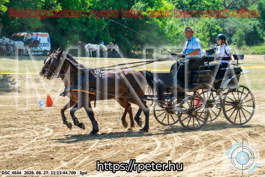 Mintakép 20260627-2066