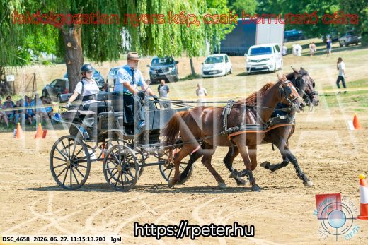 Mintakép 20260627-2073