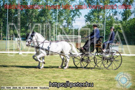Mintakép 20260612-44