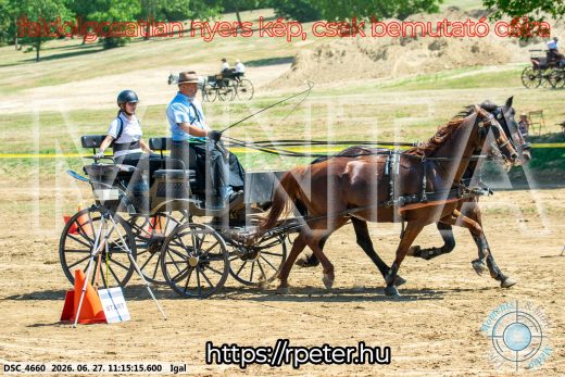 Mintakép 20260627-2075