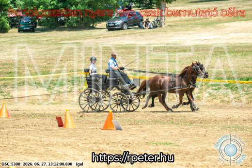Mintakép 20260627-2077