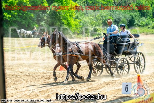 Mintakép 20260627-2080