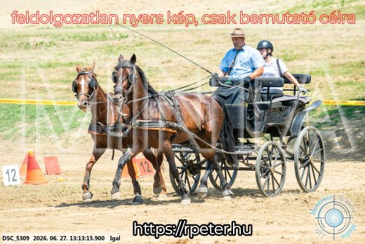 Mintakép 20260627-2081