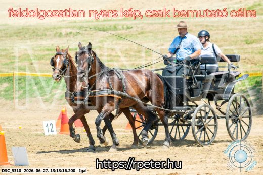 Mintakép 20260627-2082