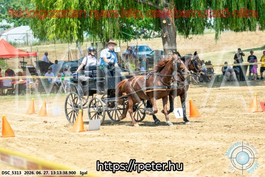 Mintakép 20260627-2084