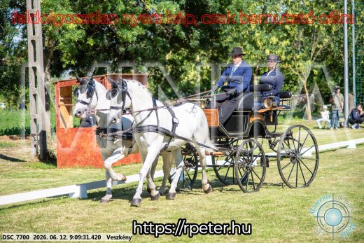 Mintakép 20260612-45