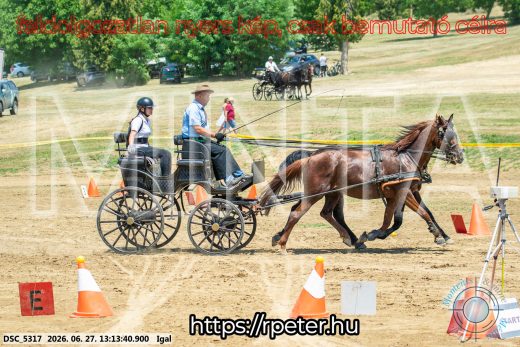 Mintakép 20260627-2087