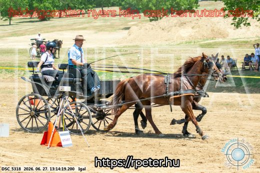 Mintakép 20260627-2088