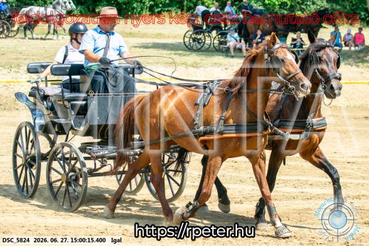 Mintakép 20260627-2089