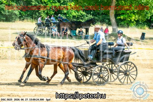 Mintakép 20260627-2090