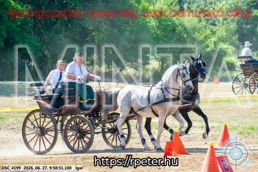 20260627-095851-DSC_4199.jpg