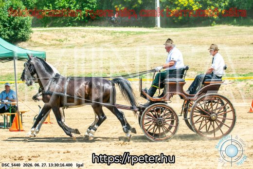 Mintakép 20260627-2110