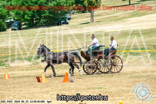 Mintakép 20260627-2112