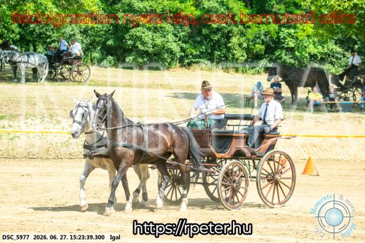 Mintakép 20260627-2124