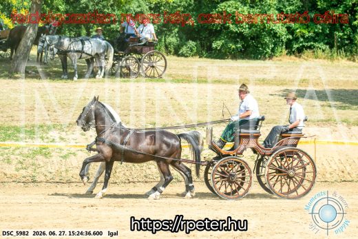 Mintakép 20260627-2129