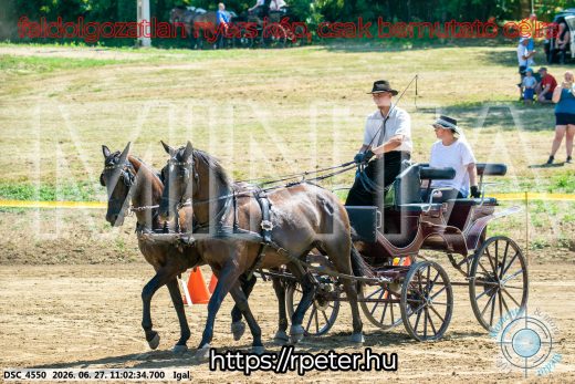 20260627-110234-DSC_4550.jpg