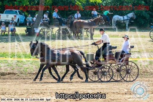 20260627-110335-DSC_4554.jpg