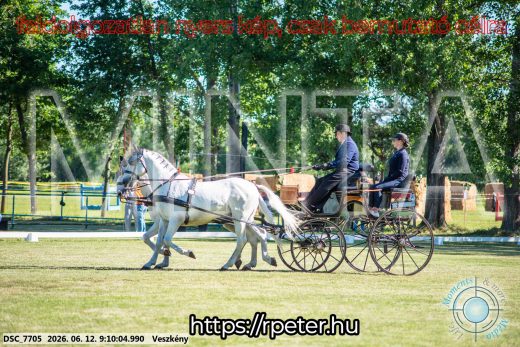 Mintakép 20260612-51