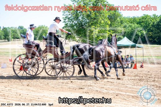 Mintakép 20260627-2152