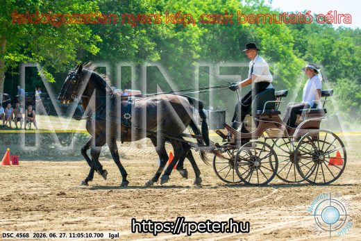 Mintakép 20260627-2157