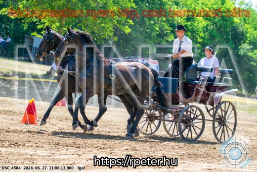 Mintakép 20260627-2163
