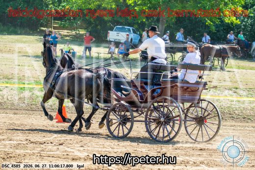 Mintakép 20260627-2164