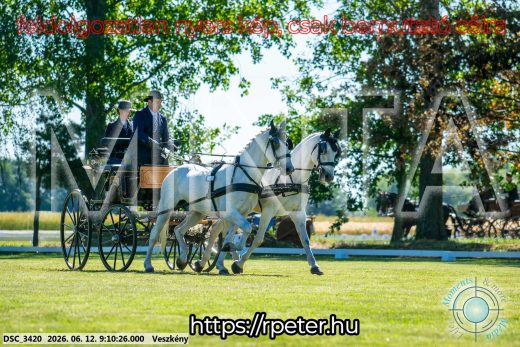 Mintakép 20260612-53