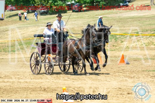 Mintakép 20260627-2171