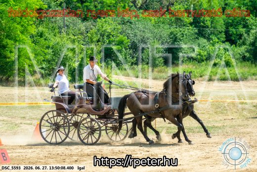 Mintakép 20260627-2174