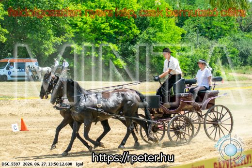 Mintakép 20260627-2177