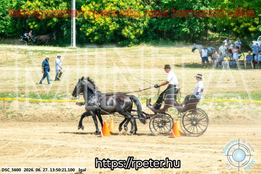 Mintakép 20260627-2179