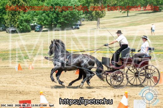 Mintakép 20260627-2180
