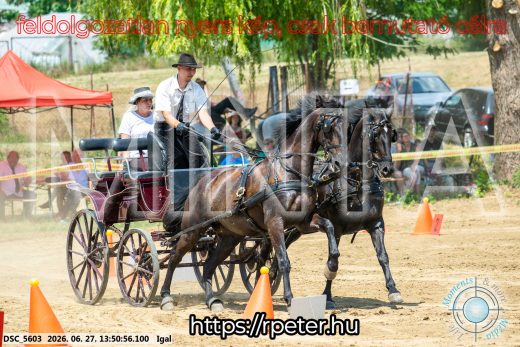 Mintakép 20260627-2181