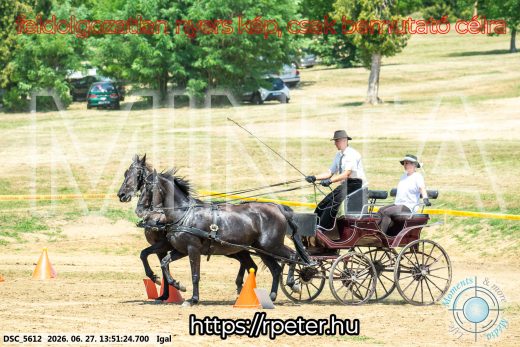 Mintakép 20260627-2184