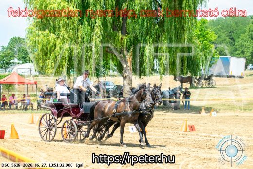 Mintakép 20260627-2185