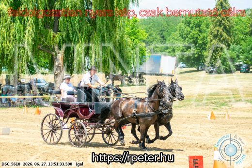 Mintakép 20260627-2186